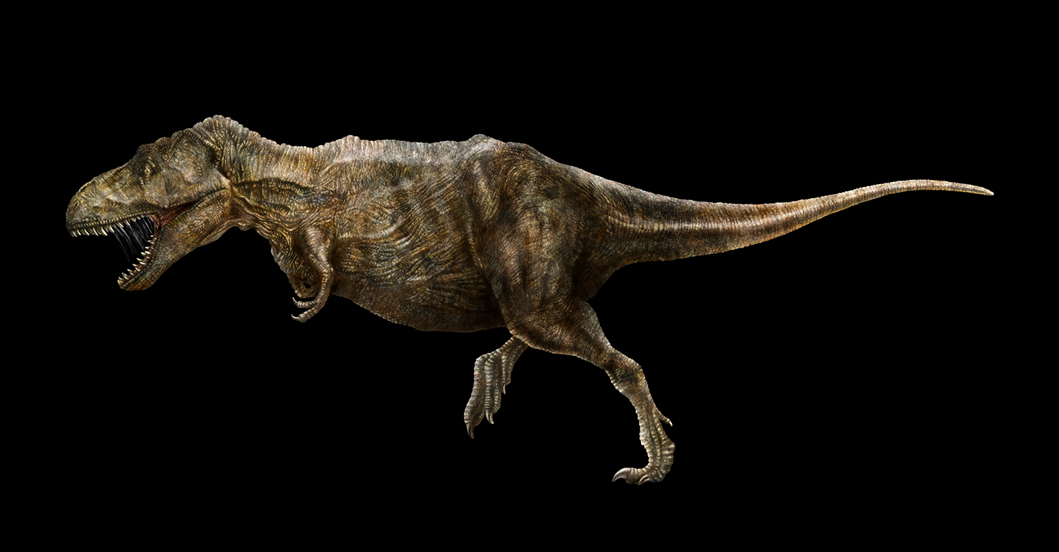 TRex - 80er Jahre Zeichnung (c) Philine Delekta, Landesmuseum Hannover