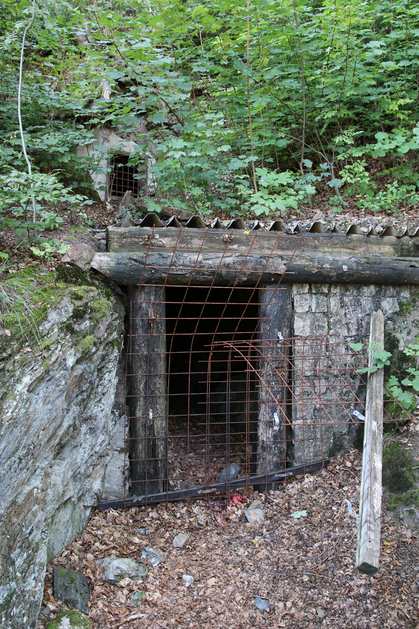 Das einsturzgefährdete obere Mundloch 2023, Foto: Jörg Zimmermann