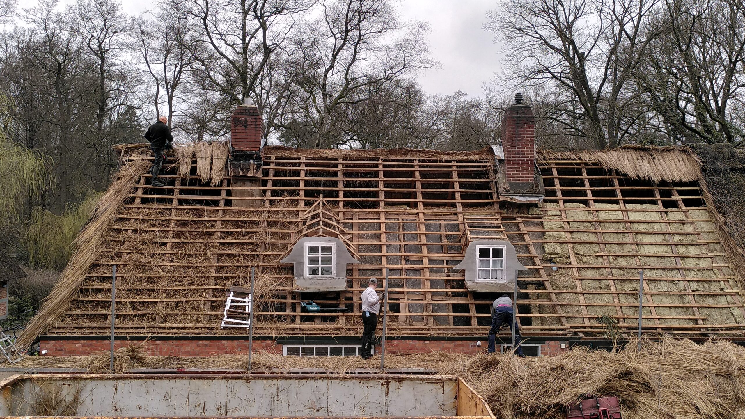 Rückbau der alten Reeteindeckung auf Haus Tulipan im März 2026, Foto: Kristina Lohse