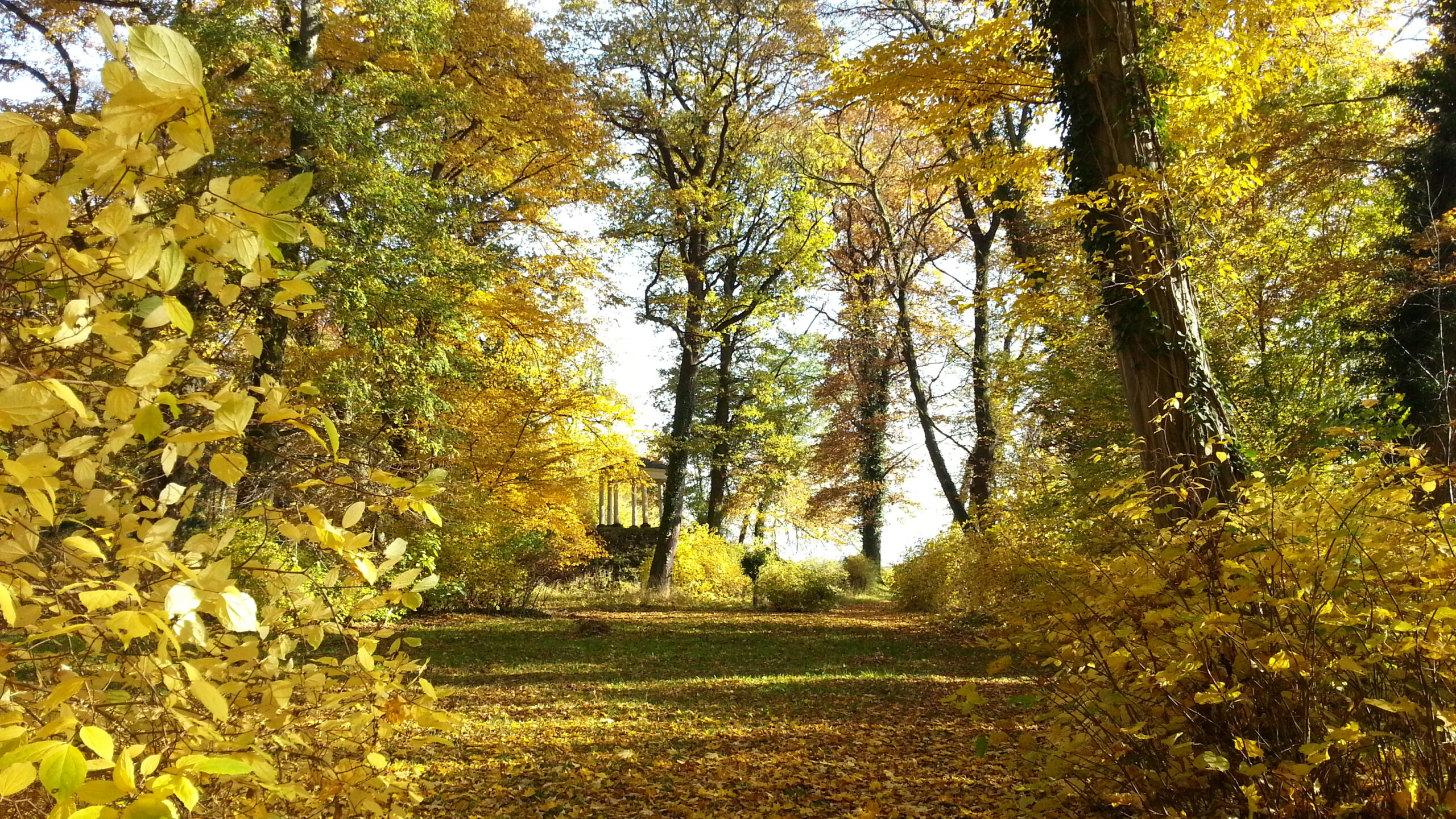 Blick auf den Tempel im Schlosspark Wrisbergholzen, Foto: Volker Gehring (2015)